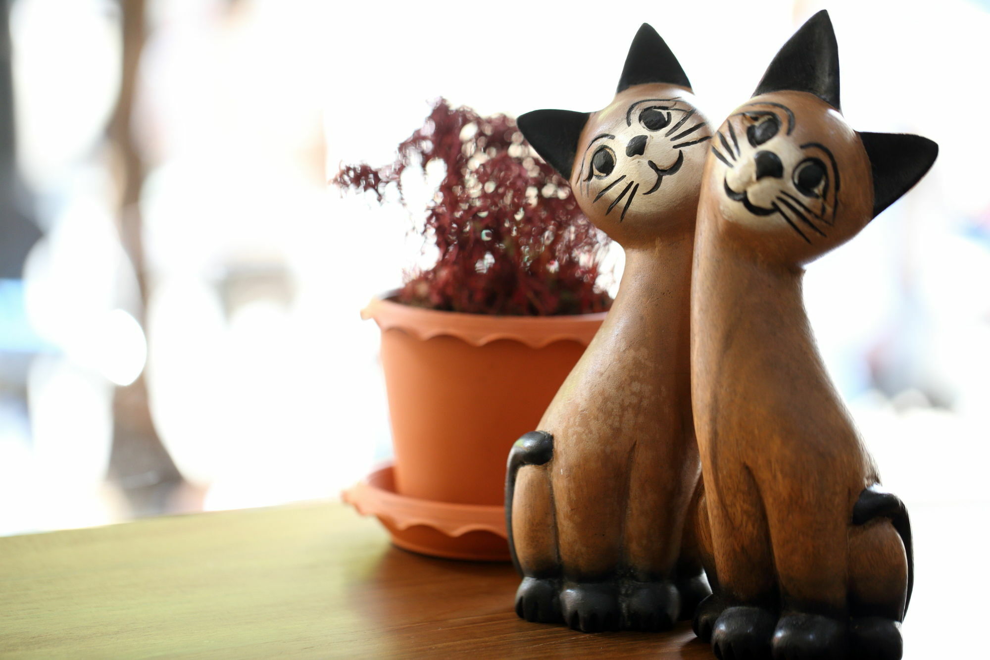 Thai Cat Hostel Бангкок Екстер'єр фото